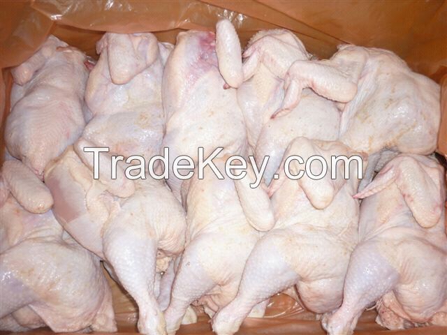 Halal Frozen Whole Chicken and Chicken Parts for Sale 