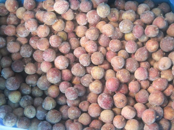 Frozen Lychee