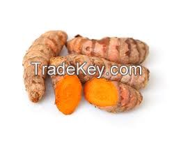 Fresh Turmeric  