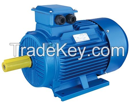 Y2 series 3-phase electric motor