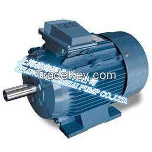 High-Efficiency Electric Motor