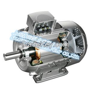 High-Efficiency Electric Motor