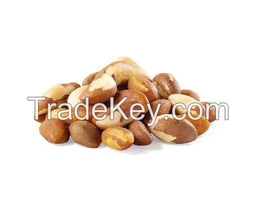 Brazil Nuts/Macadamia/Cashew Nuts/Pistachio Nuts/ Walnuts/Almonds Nuts/Macadamia