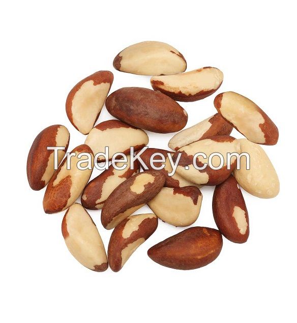 Brazil Nuts/Macadamia/Cashew Nuts/Pistachio Nuts/ Walnuts/Almonds Nuts/Macadamia