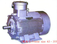 Explosion-Proof Three Phase Induction Motor (YB2)