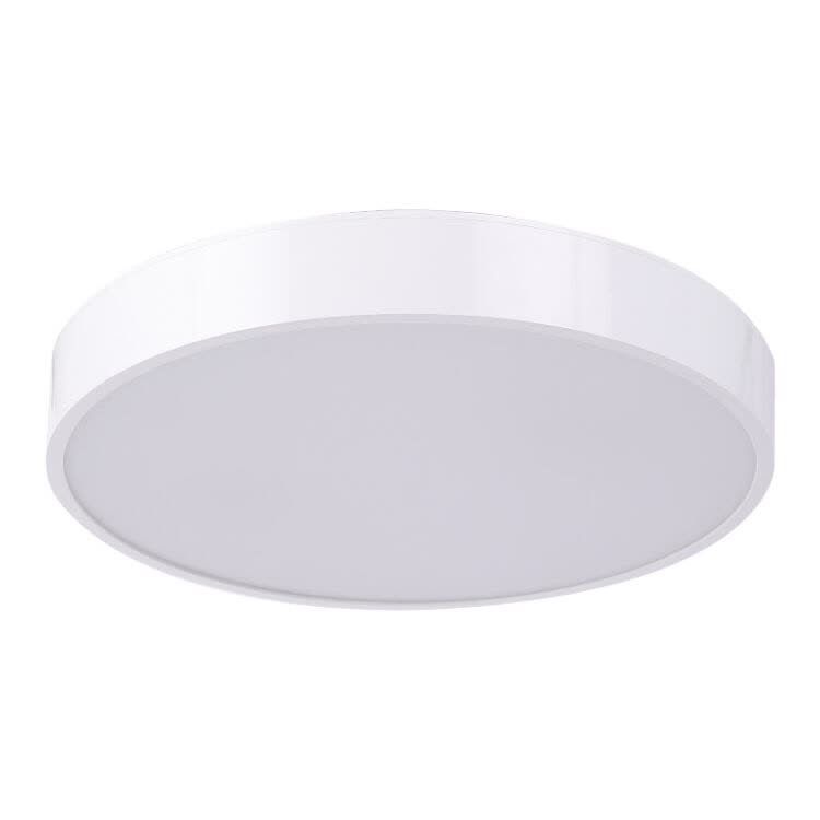 IP60 Colorful Residential Round Lamp Smart LED Ceiling Lights