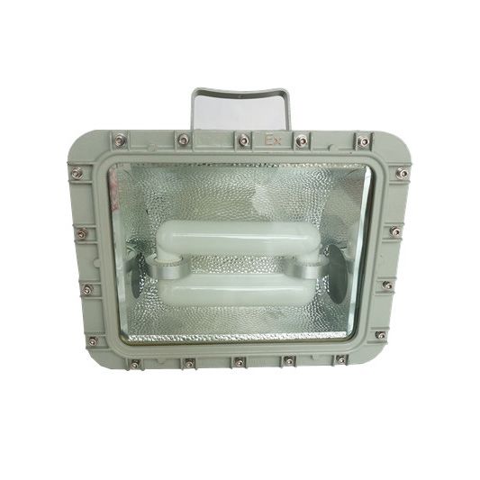 250W MH HPS Lamp Explosion proof flood light