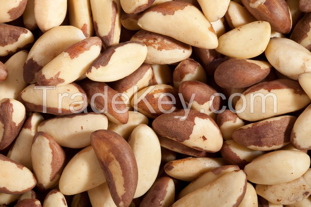 Premium Grade A Quality Brazil Nuts
