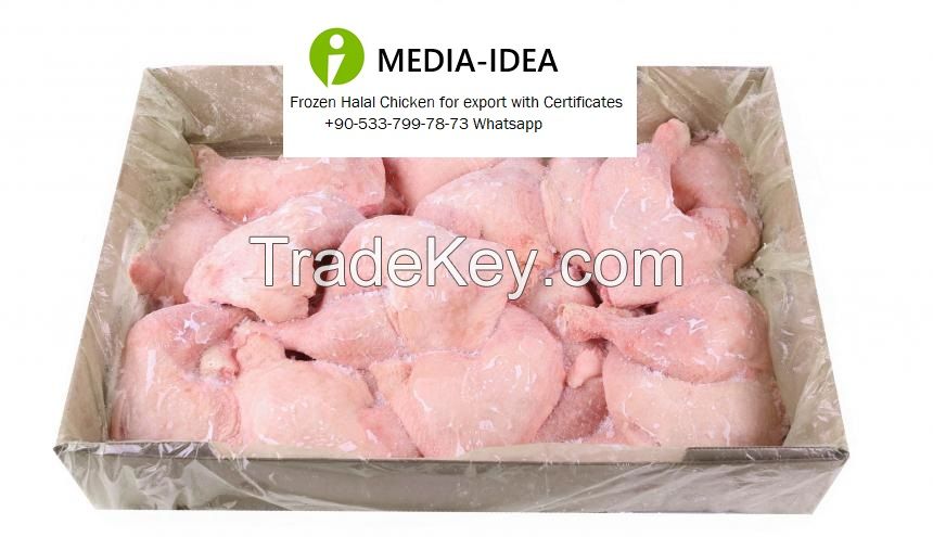 Frozen halal chicken from Ukraine