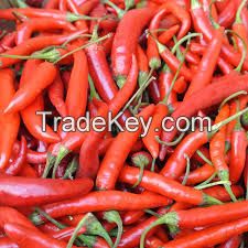 Red Chili