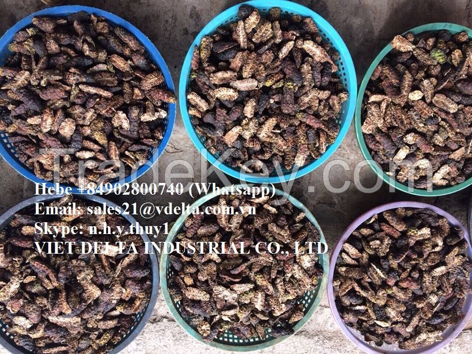 BEST PRICE AND QUALITY VIETNAM DRIED NONI FRUIT - FRESH NONI FRUIT // MS. HEBE +84 902 800 740