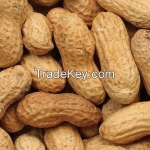 In-Shell Peanuts