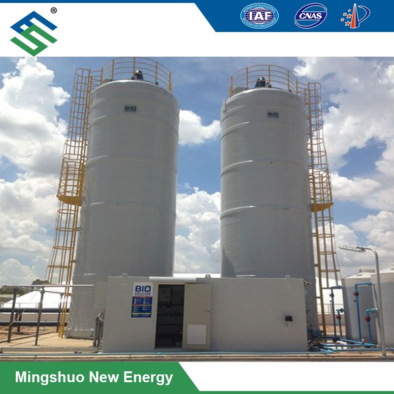 Biological Desulfurization System for Biogas Plant 