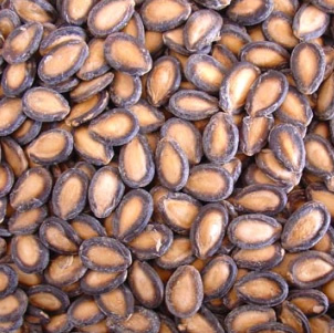 pumpkin seeds