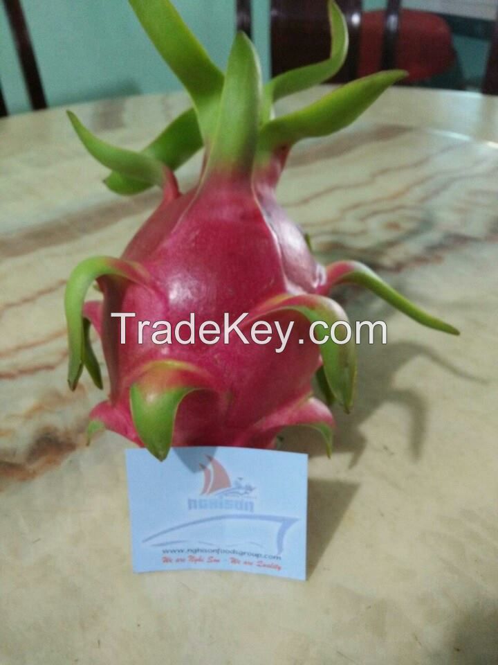 FRESH DRAGON FRUIT