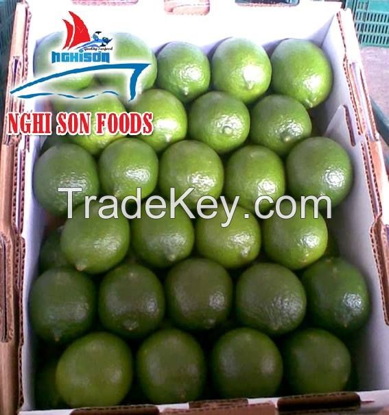 VIETNAMESE SEEDLESS LIME