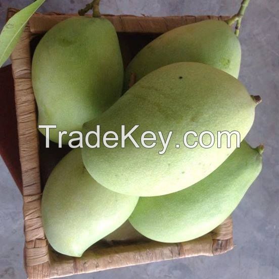 FRESH CATCHU MANGOS VIETNAM