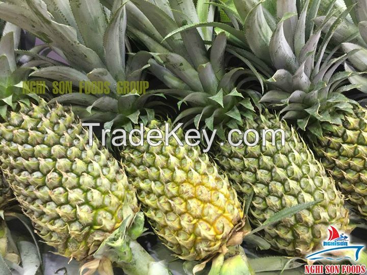 FRESH PINEAPPLE