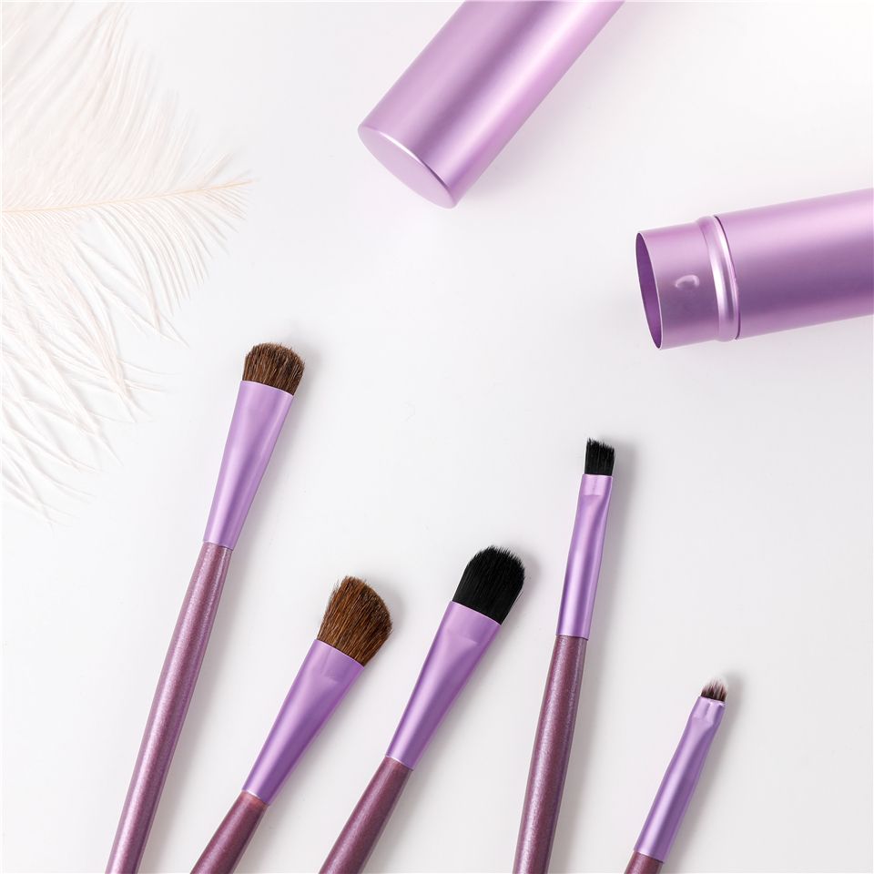 5pcs Travel Portable Mini Eye Makeup Brushes Set Reals Eyeshadow Eyeliner Eyebrow Brush Lip Make Up Brushes kit Professional