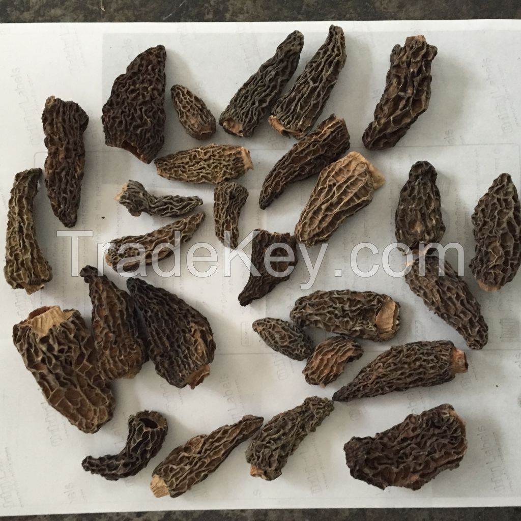 Dried Morels