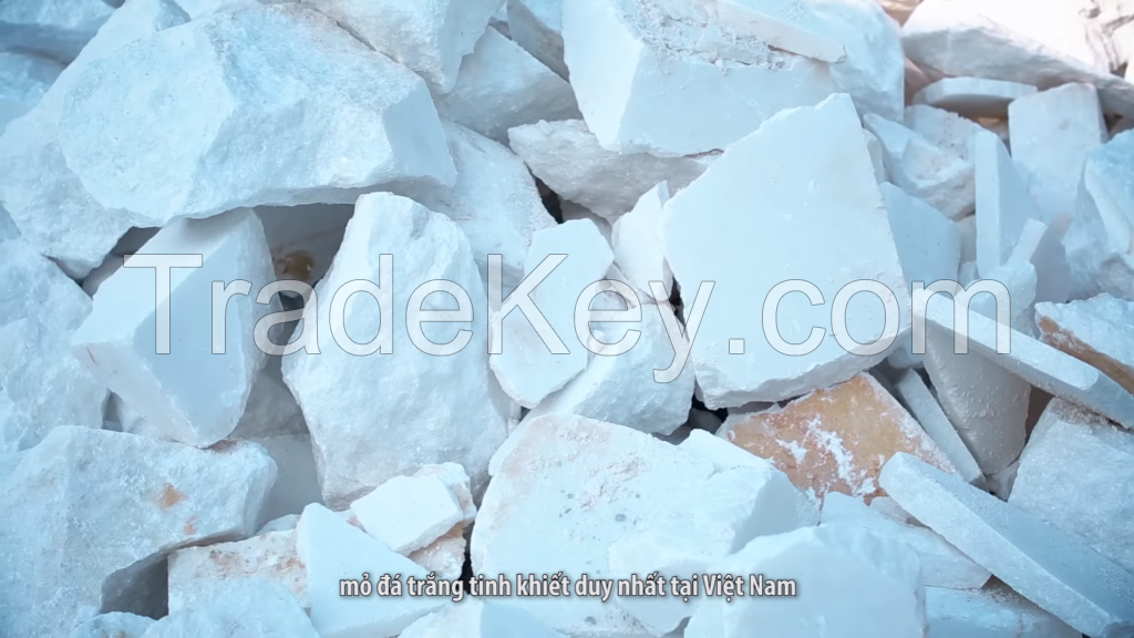 Made in Vietnam high quality Calcium Carbonate powder for industry