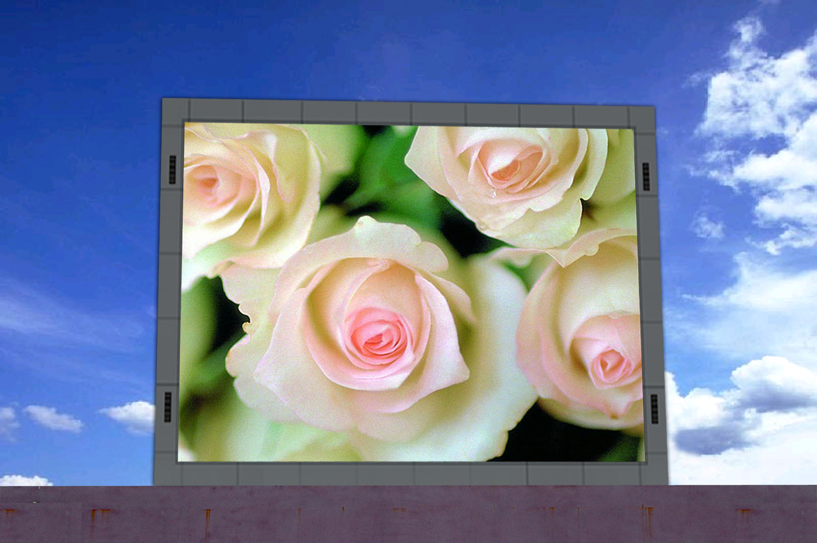 Full Color LED Display,Screen,Sign,Dot Matrix, Video Wall