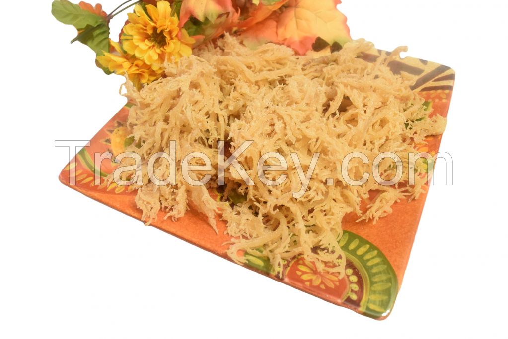 wholesale Sea Moss, Sea weed