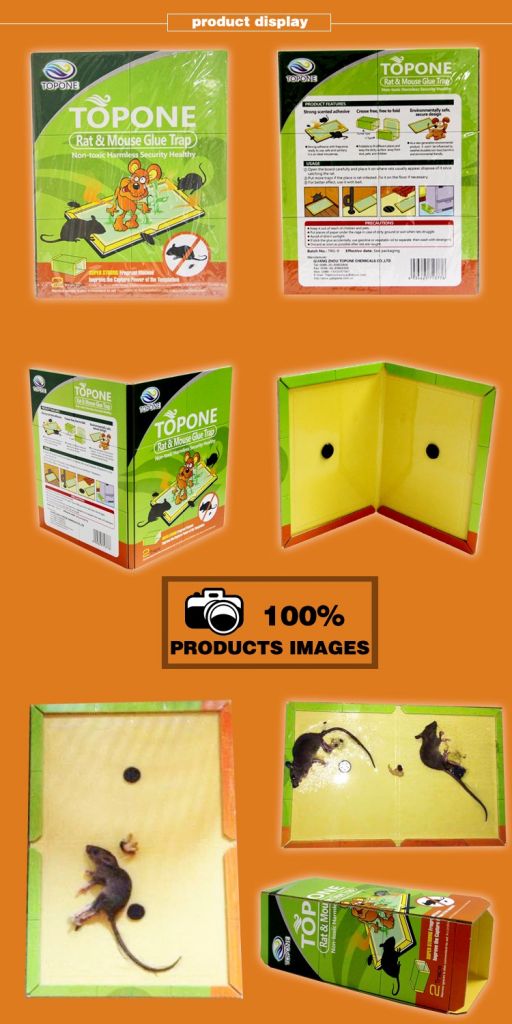 Green Environmental Protection And Powerful Paper Board Mouse Glue Trap For Food Factory