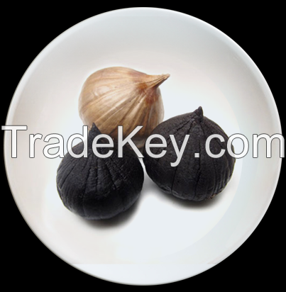 Single black garlic