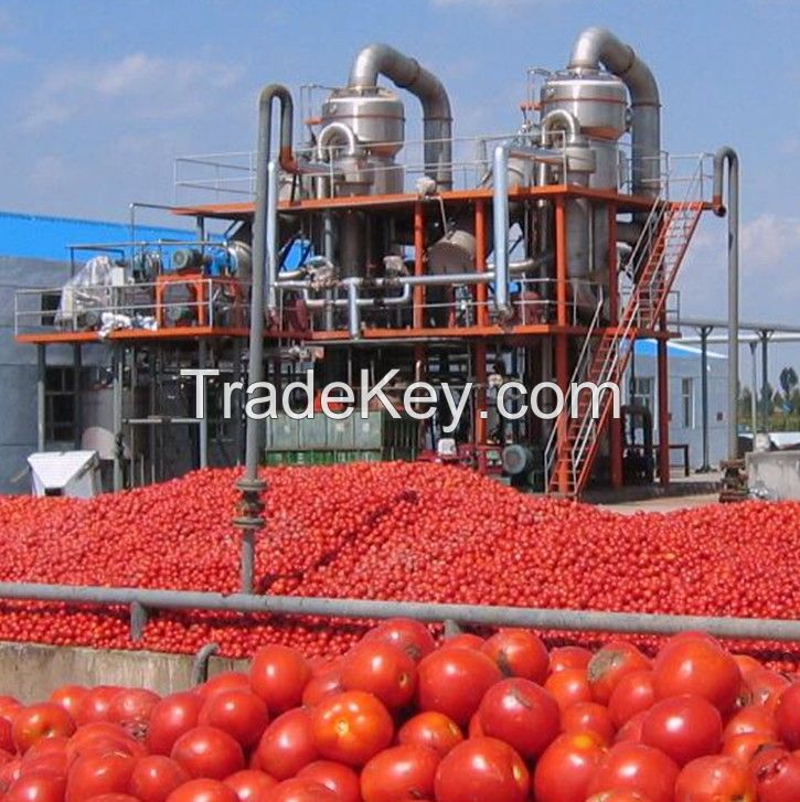 Complete tomato paste/sauce/ketchup/puree production line