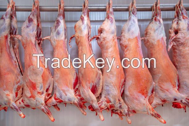 BEST PPRICE BUY HALAL FROZEN LAMB / SHEEP MEAT