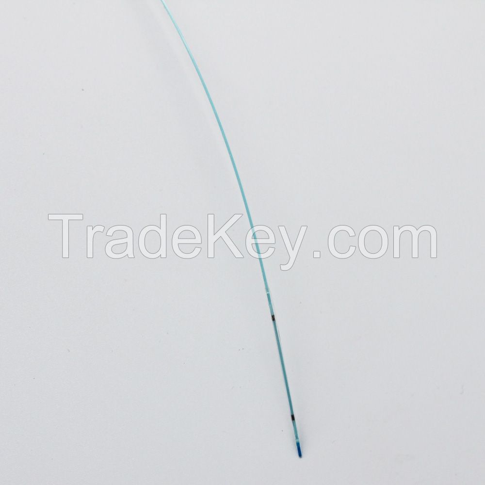 Advan PTCA Balloon Dilatation Catheter