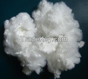 POLYESTER FIBER