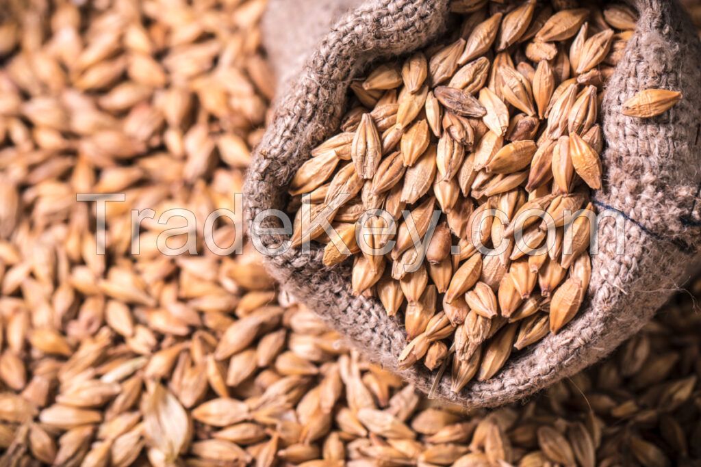 GRAIN