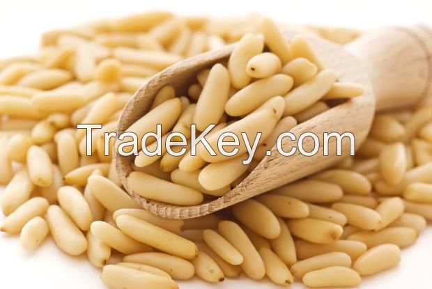 High Quality pine nut 