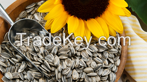 High Quality SUNFLOWER SEEDS