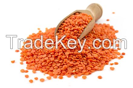 High Quality Red Split Lentils