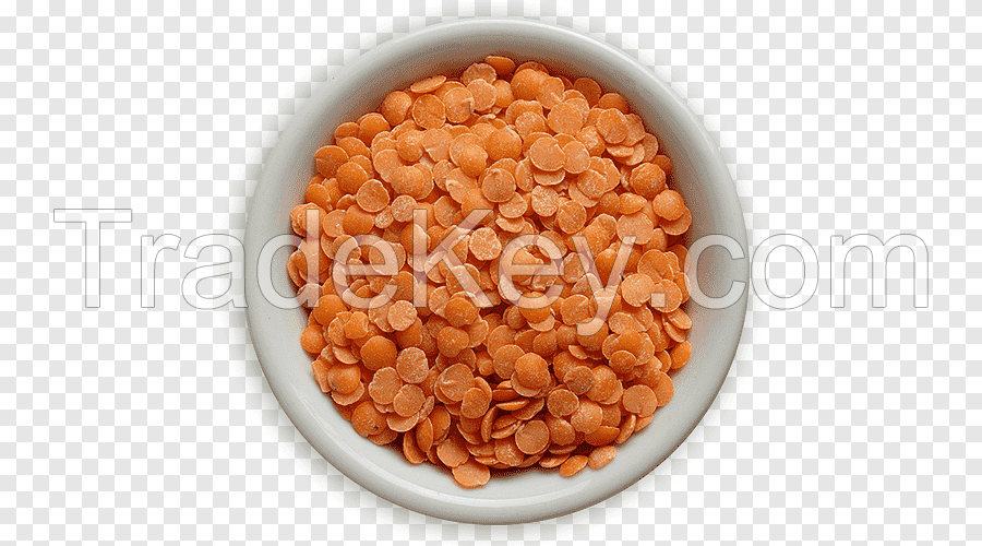 High Quality RED SPLIT LENTILS