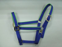 Halters