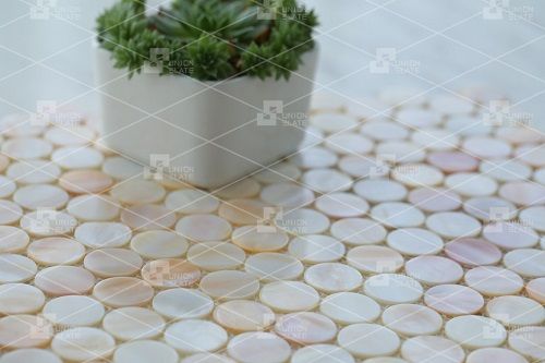 Natural Cream Shell Mother Of Pearl Penny Round Mosaic For Backsplash