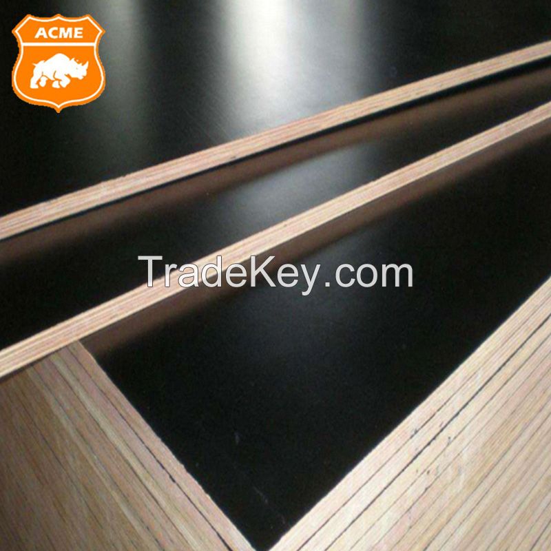 Different Types Construction Plywood