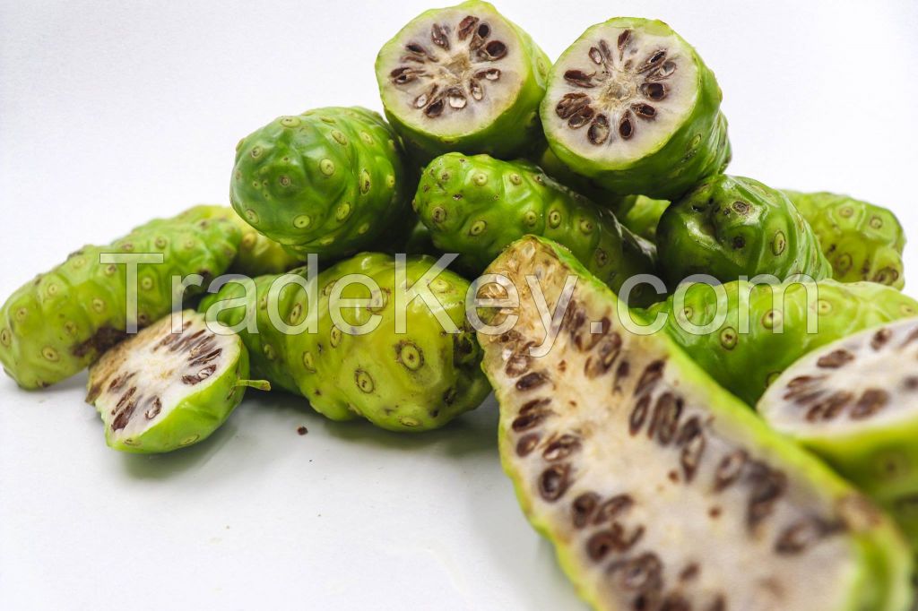 FRESH NONI FRUIT / DRIED NONI FRUIT