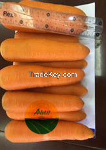 Carrots