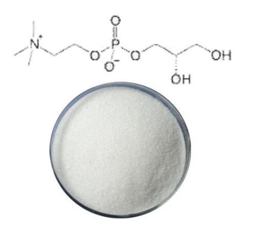 Choline Alfoscerate