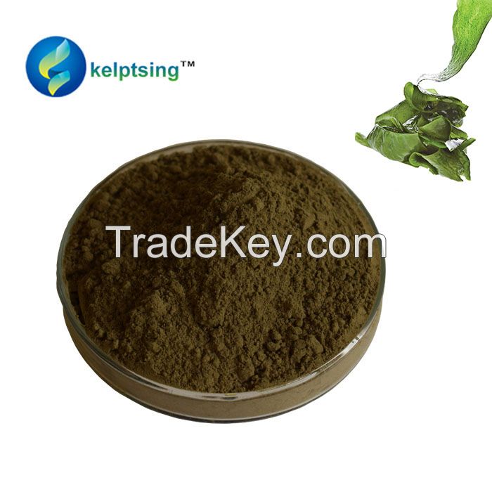 Raw Organic 65% Dietary Fiber from edible seaweeds