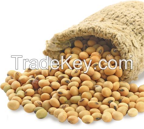 Dark Red Kidney Beans