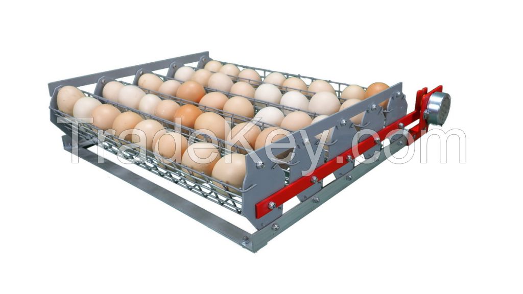 Automatic Egg incubator Broody Mini Zoom 90 Battery with humidifier backup power function automatic turn of trays   poultry chicken egg Hatching