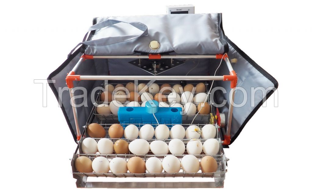 Automatic Egg incubator Broody Micro Battery 50 with humidifier backup power function automatic turn of trays poultry chicken egg Hatching