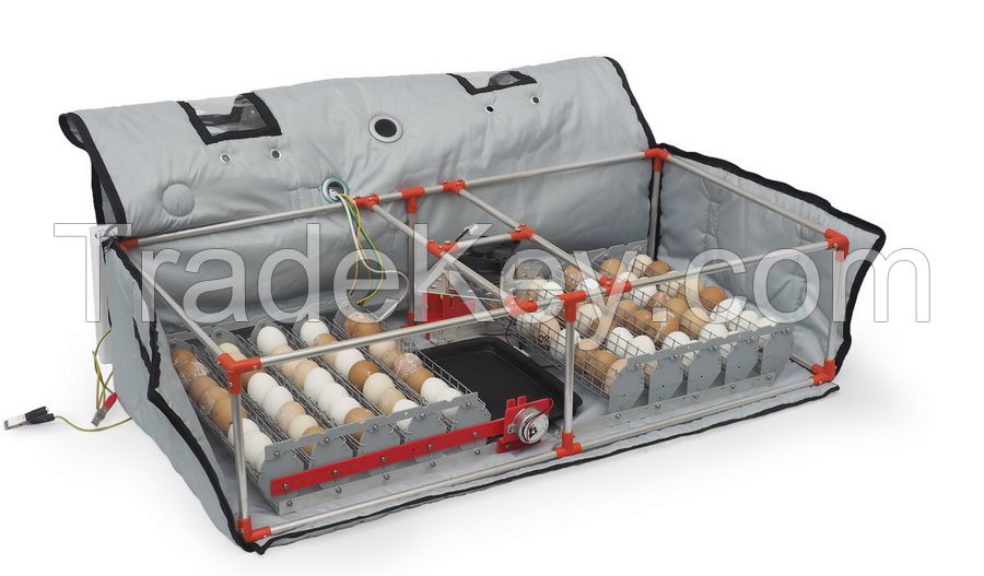 Automatic Egg incubator Double Micro Battery 90 with humidifier backup power function automatic turn of trays poultry chicken egg Hatching