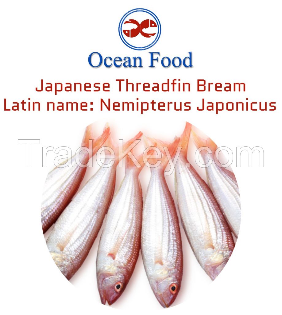 Japanese threadfin Bream (JTB), Grey Mullet & Indian Mackerel